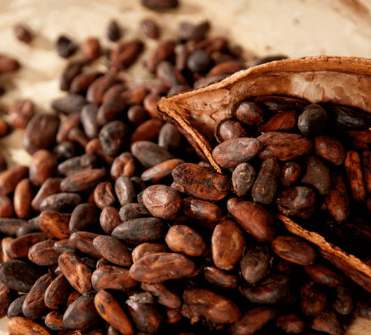 Indulge in peace with Cacao Beans/Nibs